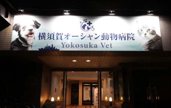 通いやすい動物病院